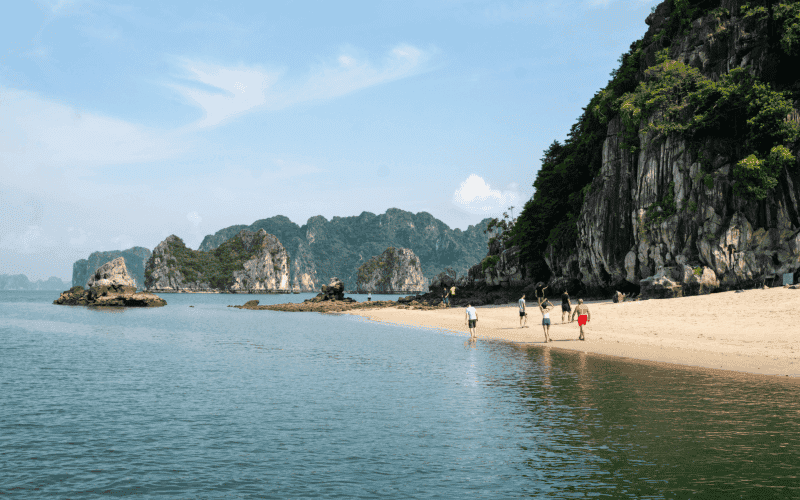 Bai Tu Long Bay Swan Cruises 3 Days 2 Nights